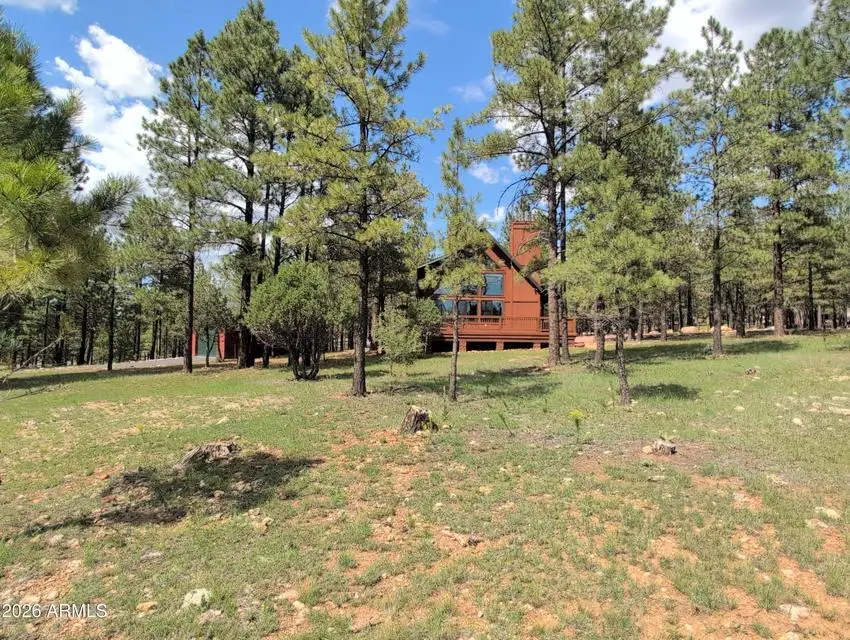 3738 Apache Drive, Happy Jack, AZ 86024 - #2
