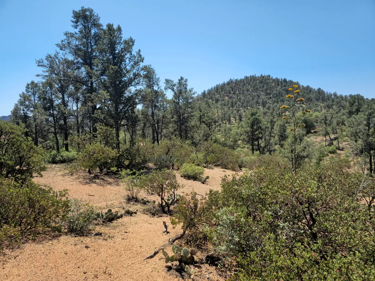 2400 E Rim Club Drive, Payson, AZ 85541 - #1