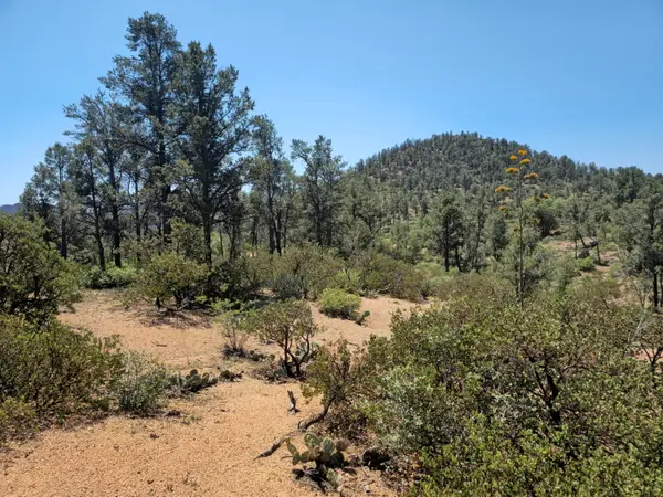 2400 E Rim Club Drive, Payson, AZ 85541