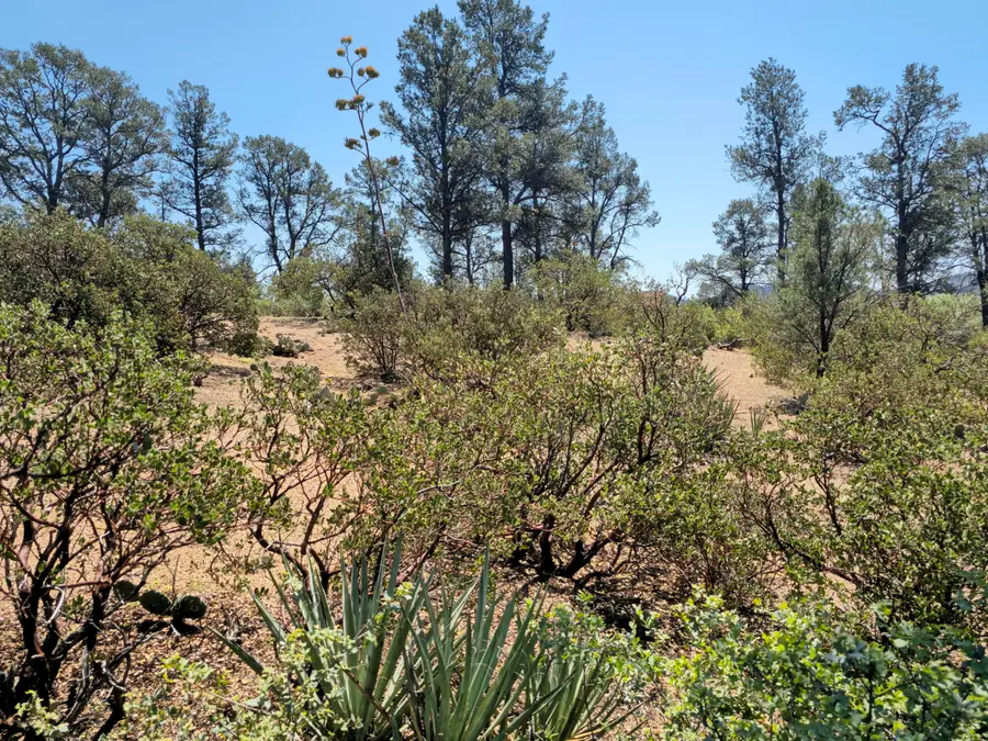 2400 E Rim Club Drive, Payson, AZ 85541 - #3