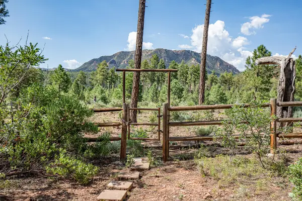 243 N Wild Oak Drive, Payson, AZ 85541