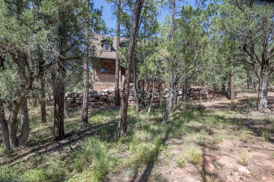 243 N Wild Oak Drive, Payson, AZ 85541 - #2