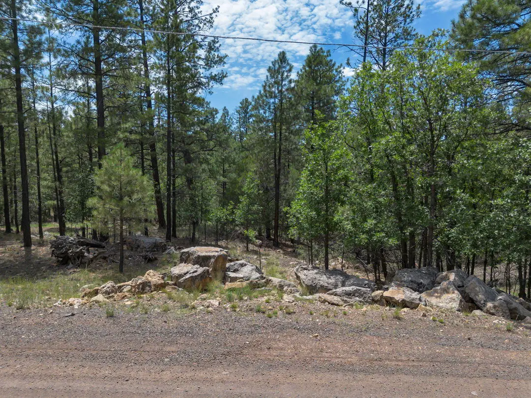 642 Jacks Canyon Drive, Happy Jack, AZ 86024 - #1