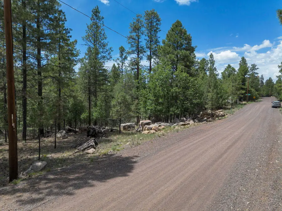 642 Jacks Canyon Drive, Happy Jack, AZ 86024 - #2