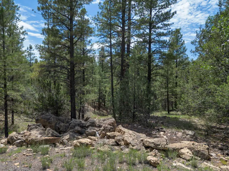 642 Jacks Canyon Drive, Happy Jack, AZ 86024 - #3