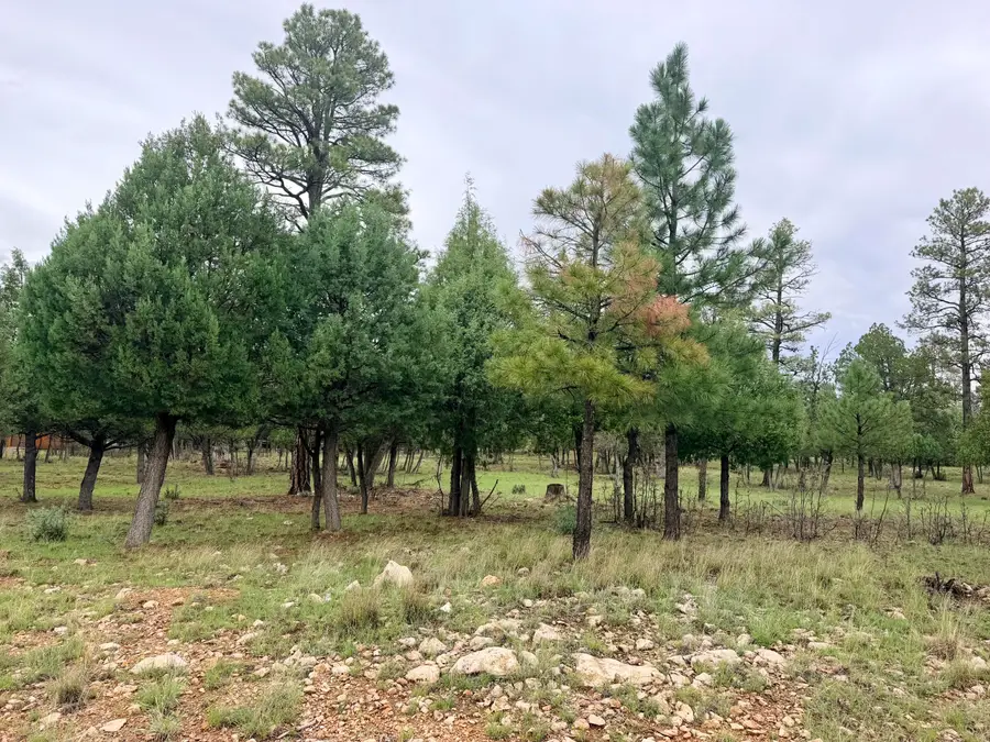 4517 Durango Drive, Happy Jack, AZ 86024 - #3