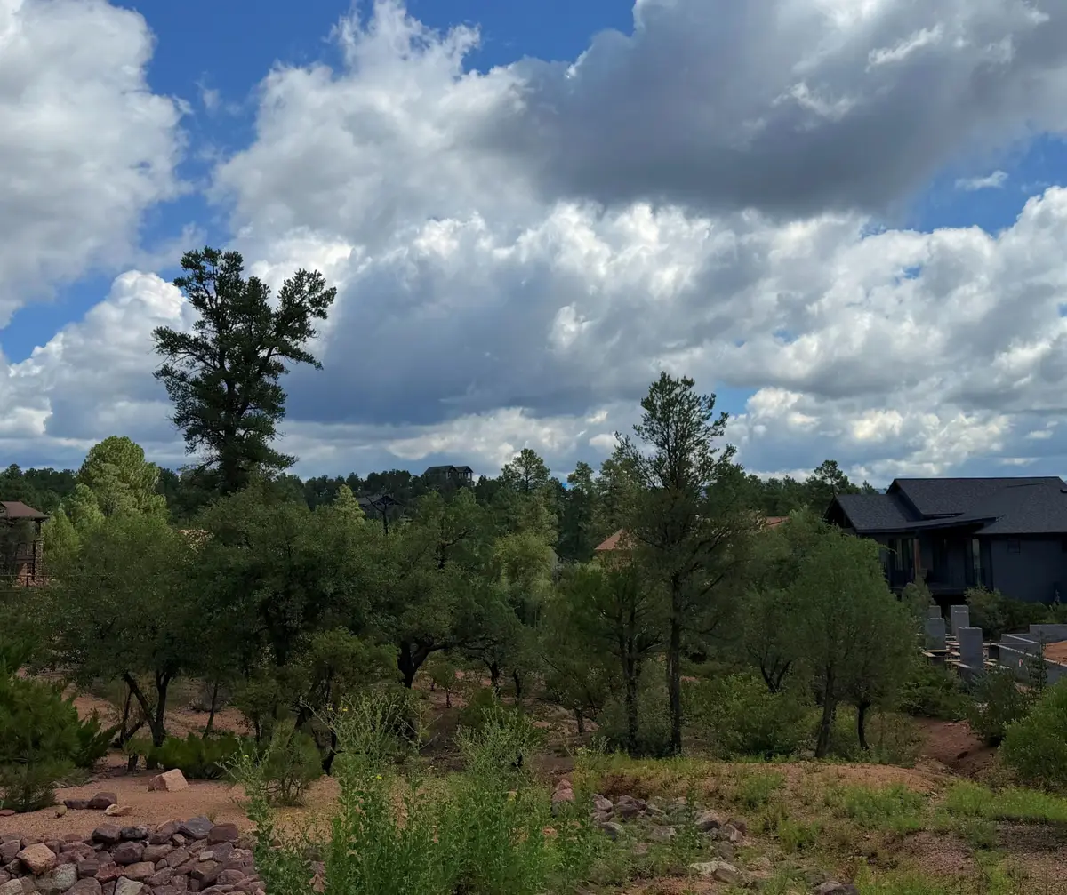 1003 N Purple Aster Court Court, Payson, AZ 85541 - #1