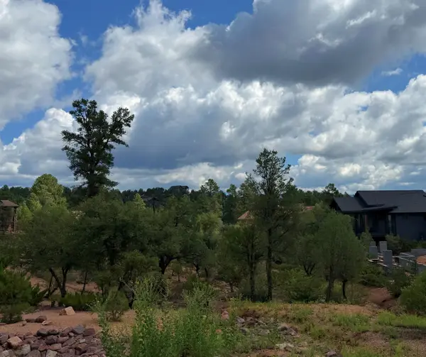 1003 N Purple Aster Court Court, Payson, AZ 85541