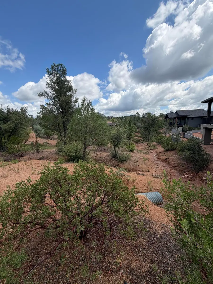1003 N Purple Aster Court Court, Payson, AZ 85541 - #3