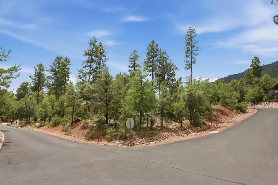 lot 43 Strawberry Hollow, Pine, AZ 85544 - #3