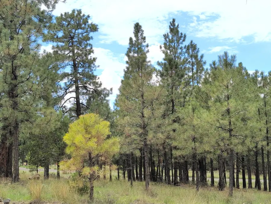 Lot 45 &46 Katie's Way, Happy Jack, AZ 86024 - #3