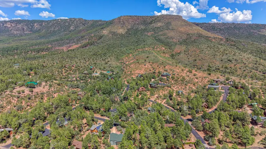 Lot 19 N Elk Rub Lane, Pine, AZ 85544 - #3
