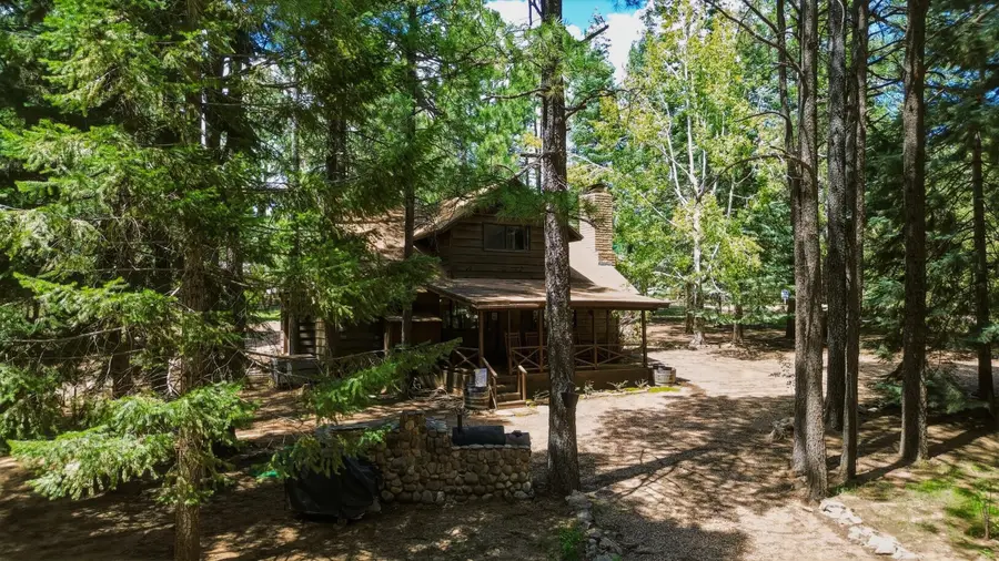 1640 Sheep Springs Road, Forest Lakes, AZ 85931 - #3