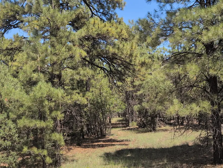 2663 Clear Creek Drive, Happy Jack, AZ 86024 - #3