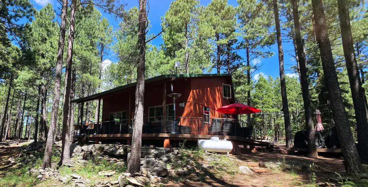 2644 Summer Loop, Forest Lakes, AZ 85931 - #1
