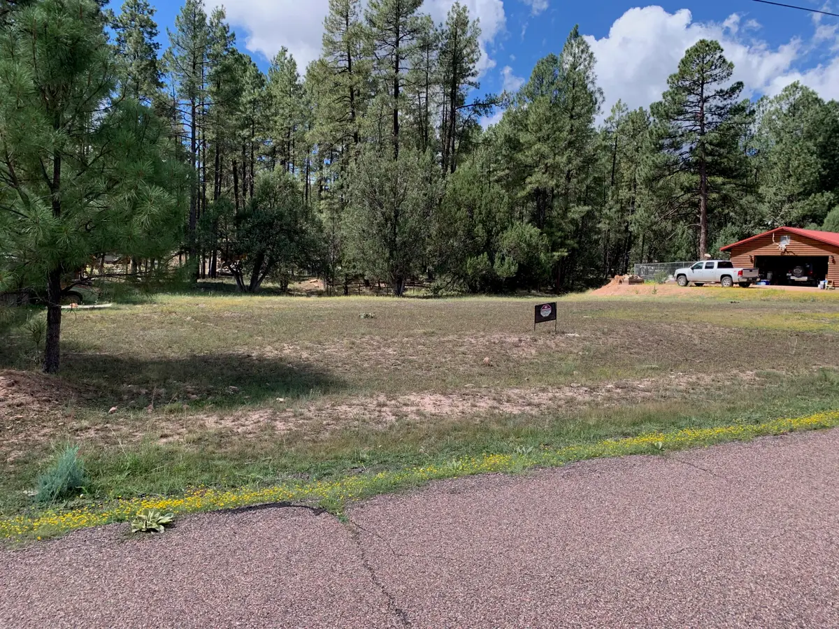 983 Standage Drive, Payson, AZ 85541 - #1