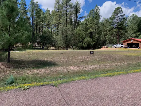 983 Standage Drive, Payson, AZ 85541