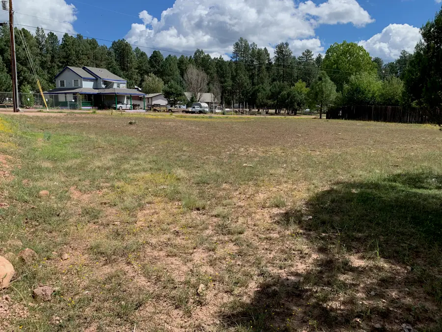 983 Standage Drive, Payson, AZ 85541 - #2