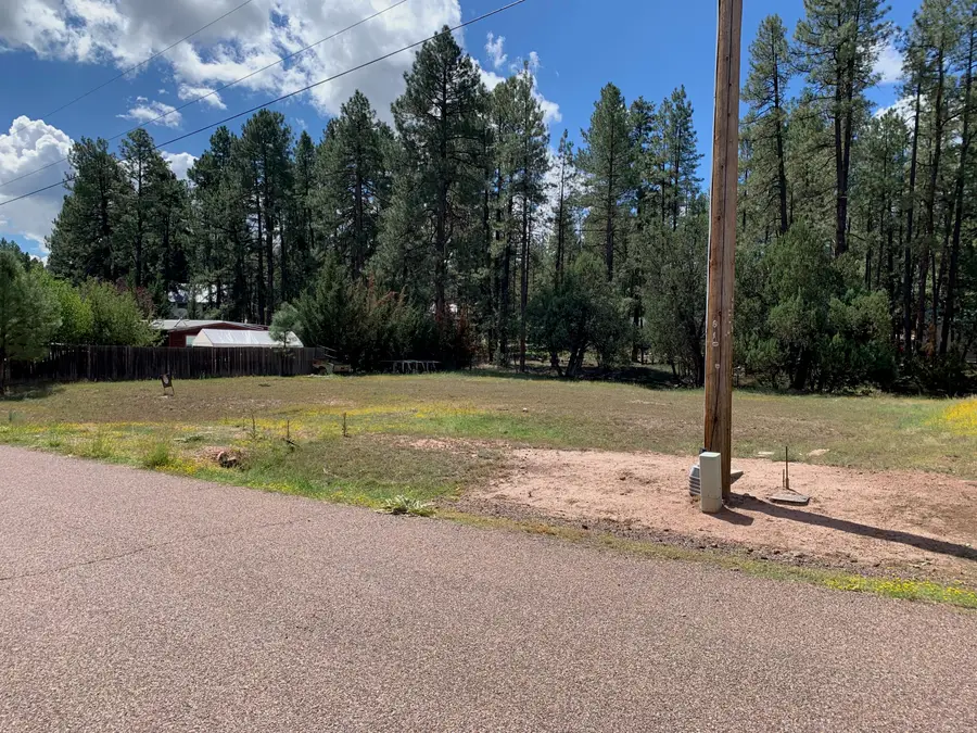 983 Standage Drive, Payson, AZ 85541 - #3