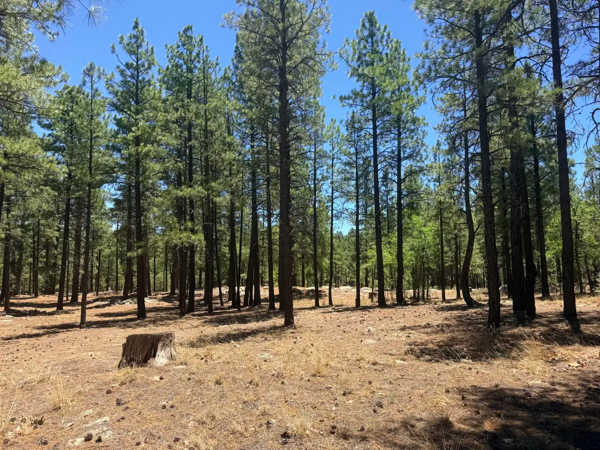 4215 Apache Drive, Happy Jack, AZ 86024 - #1
