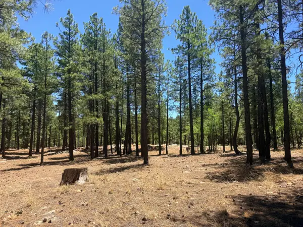 4215 Apache Drive, Happy Jack, AZ 86024