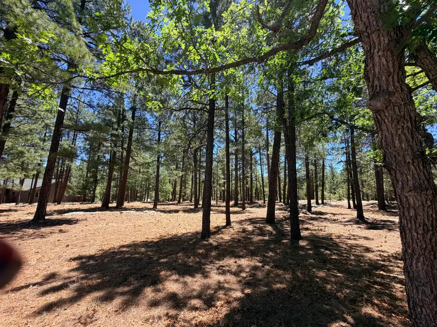 4215 Apache Drive, Happy Jack, AZ 86024 - #2