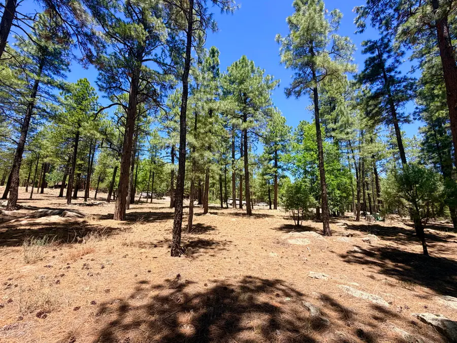 4215 Apache Drive, Happy Jack, AZ 86024 - #3
