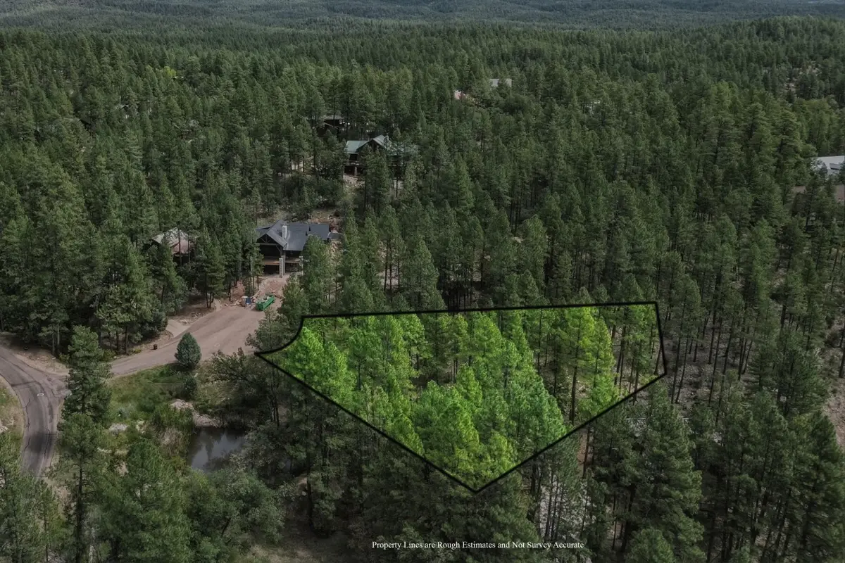 170 E Green Apple Lane, Payson, AZ 85541 - #1