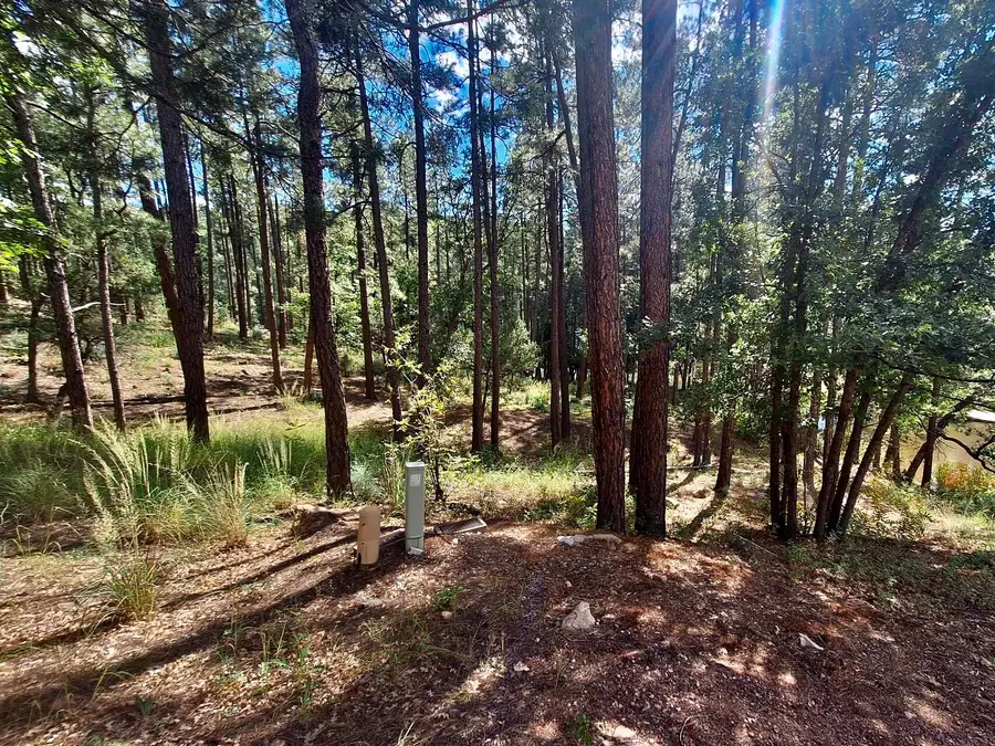 170 E Green Apple Lane, Payson, AZ 85541 - #2