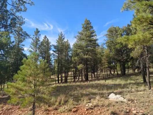 4556 Starlight Drive, Happy Jack, AZ 86024