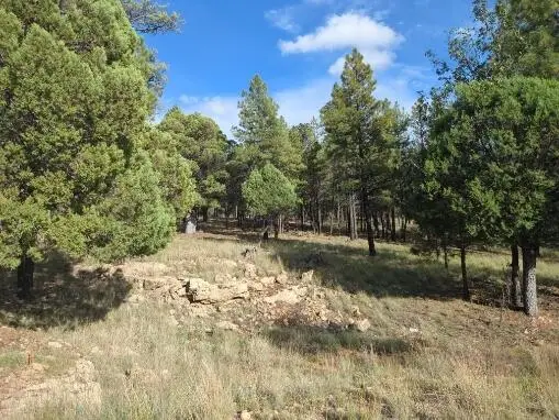 4556 Starlight Drive, Happy Jack, AZ 86024 - #2