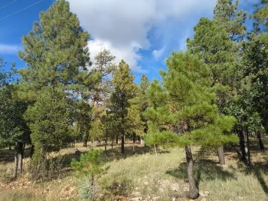 4556 Starlight Drive, Happy Jack, AZ 86024 - #3