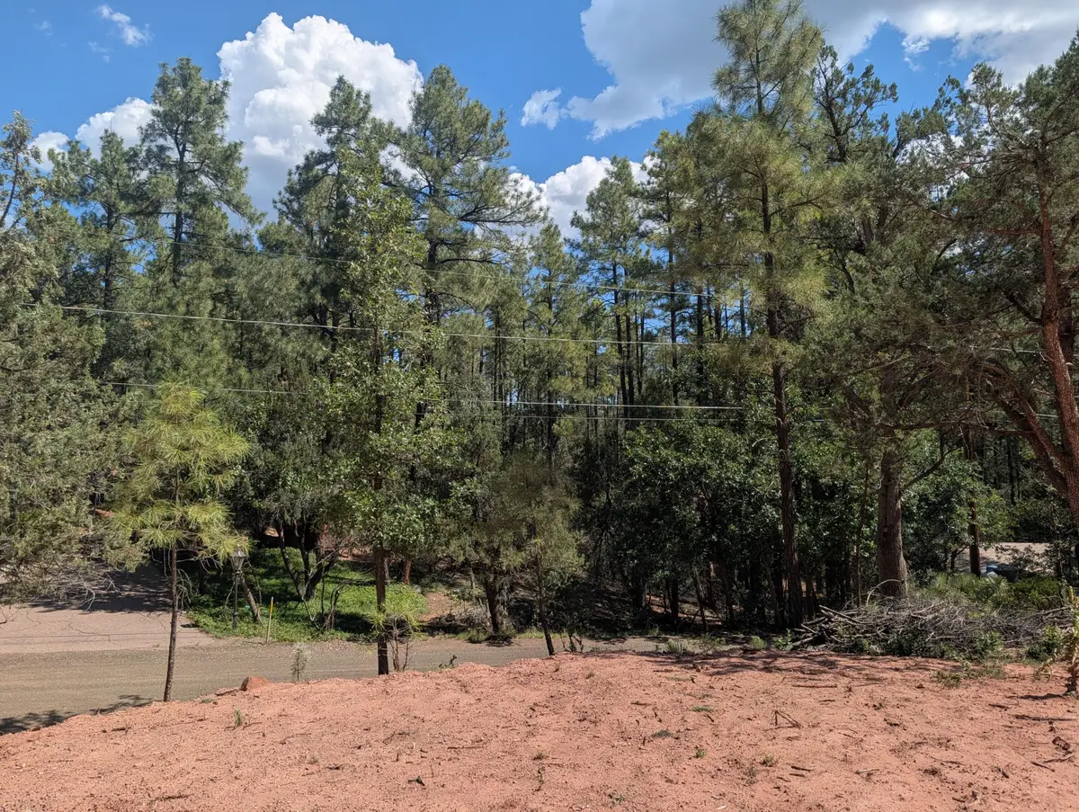 3586 N Pine View Drive, Pine, AZ 85544 - #1