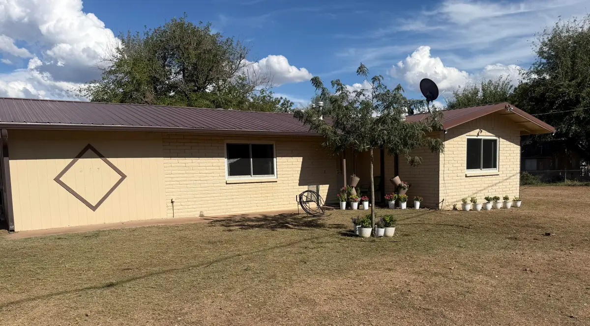 267 N Shreeve Lane, Tonto Basin, AZ 85553 - #1