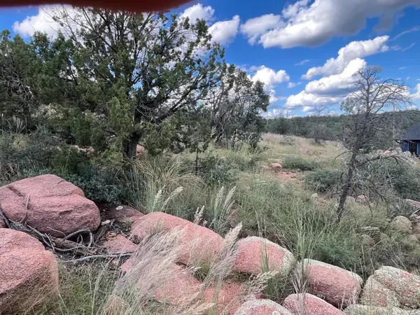 521 N Peak Loop, Payson, AZ 85541