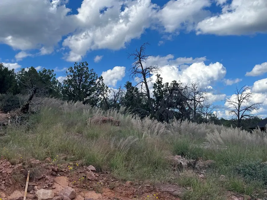 521 N Peak Loop, Payson, AZ 85541 - #2