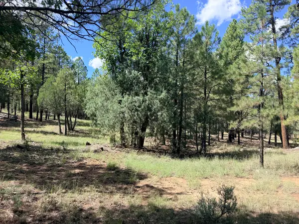 5163 Starlight Drive, Happy Jack, AZ 86024