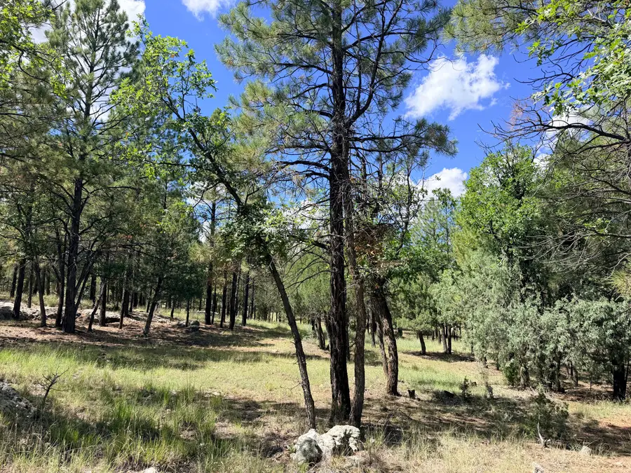 5163 Starlight Drive, Happy Jack, AZ 86024 - #2