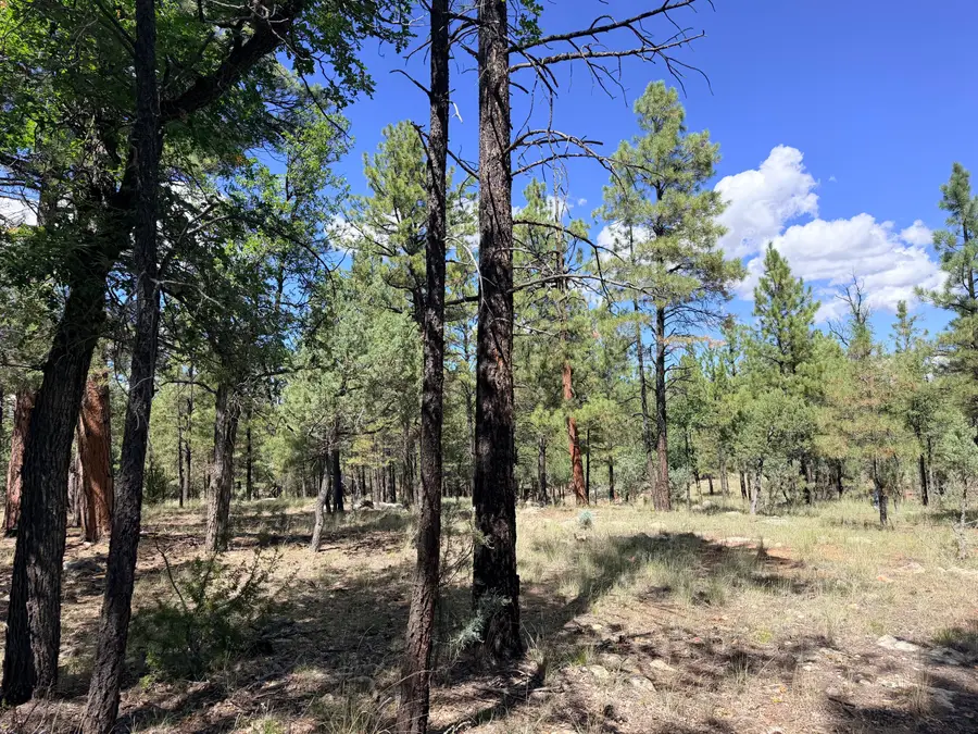 5163 Starlight Drive, Happy Jack, AZ 86024 - #3