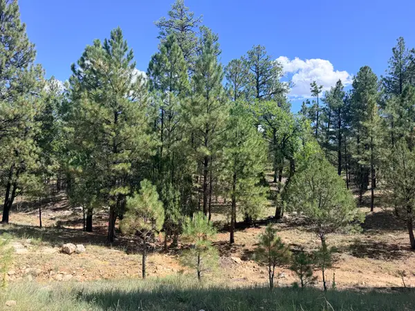 5155 Starlight Drive, Happy Jack, AZ 86024
