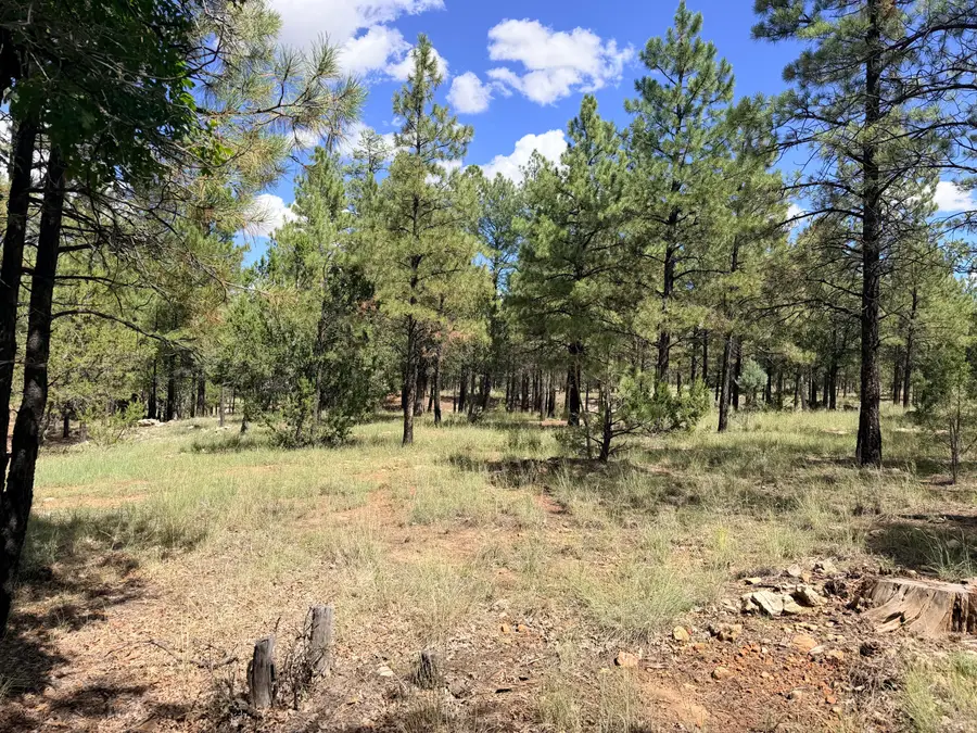 5155 Starlight Drive, Happy Jack, AZ 86024 - #2