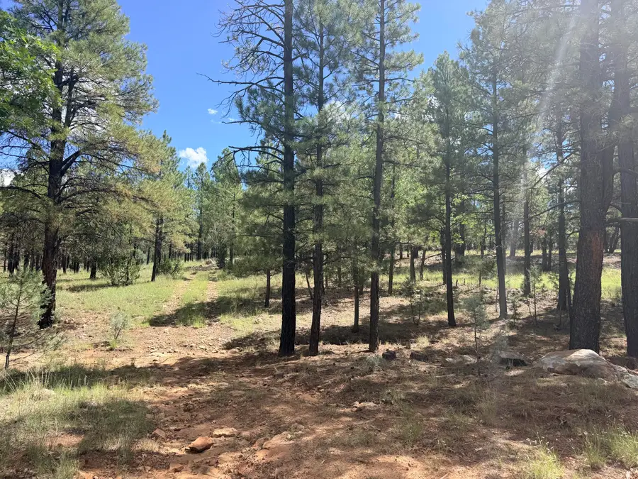 5155 Starlight Drive, Happy Jack, AZ 86024 - #3