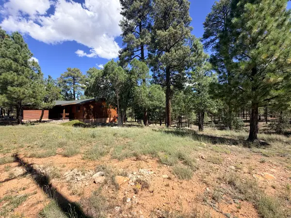 5205 Starlight Drive, Happy Jack, AZ 86024