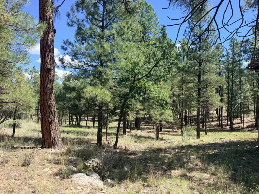 5177 Starlight Drive, Happy Jack, AZ 86024 - #2
