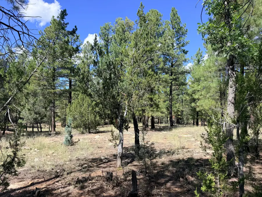 5177 Starlight Drive, Happy Jack, AZ 86024 - #3