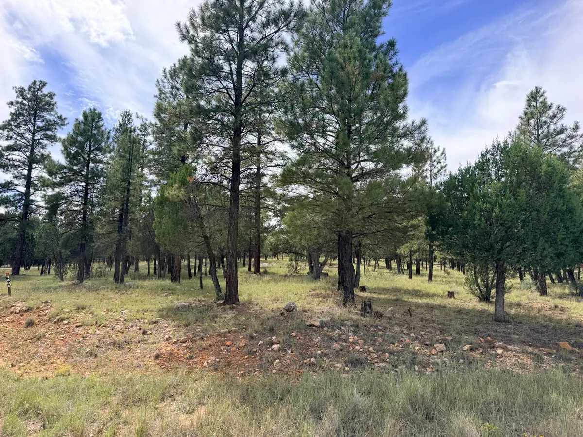 5206 Starlight Drive, Happy Jack, AZ 86024 - #1