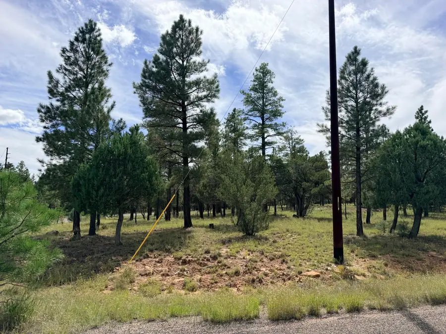 5206 Starlight Drive, Happy Jack, AZ 86024 - #2