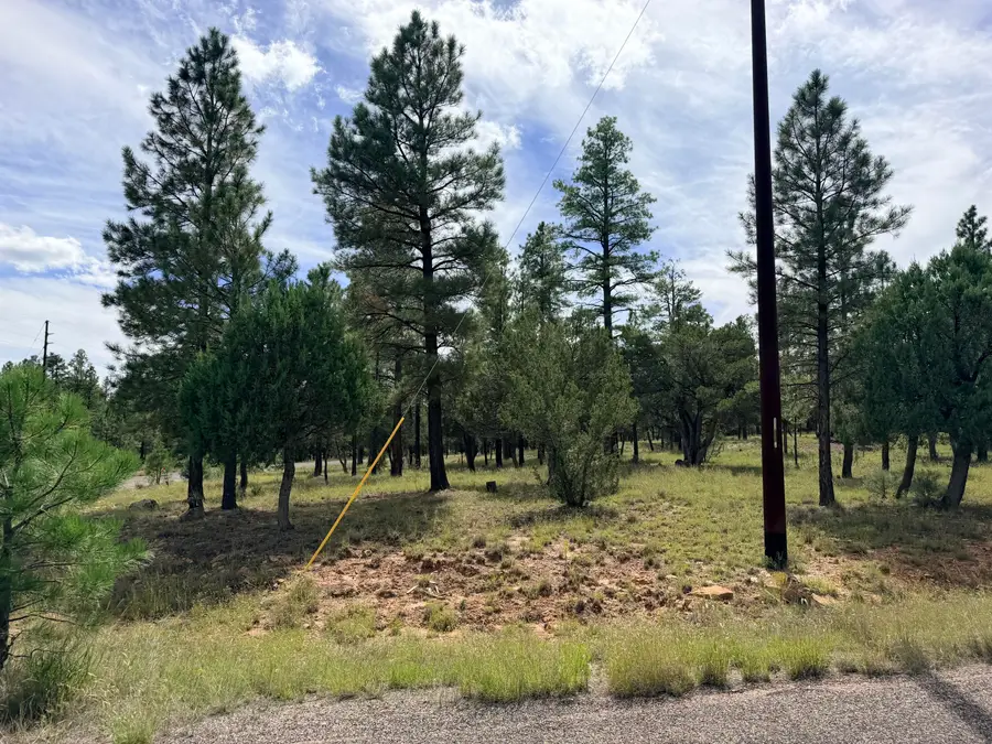 5206 Starlight Drive, Happy Jack, AZ 86024 - #3