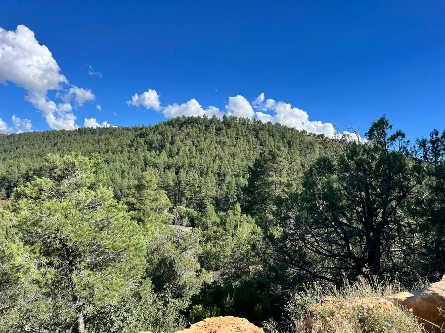10160 W Fossil Creek Road, Pine, AZ 85544 - #2