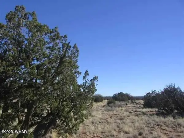 Lot 537 Chevelon Canyon Ranch Lot 537, Heber, AZ 85928
